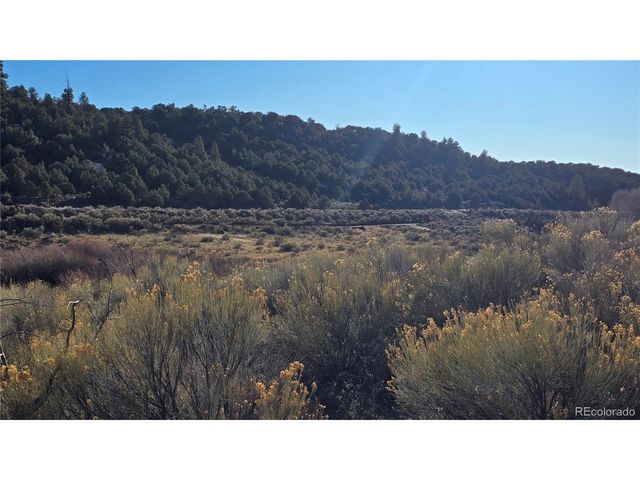 7542 Indian Creek Rd, Fort Garland, CO 81133