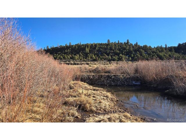 7542 Indian Creek Rd, Fort Garland, CO 81133