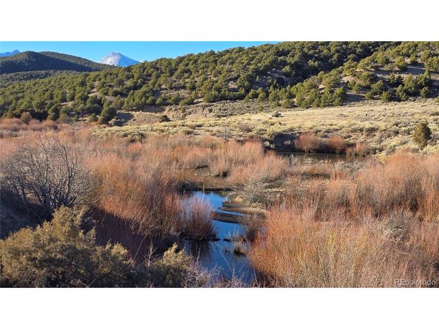7542 Indian Creek Rd, Fort Garland, CO 81133