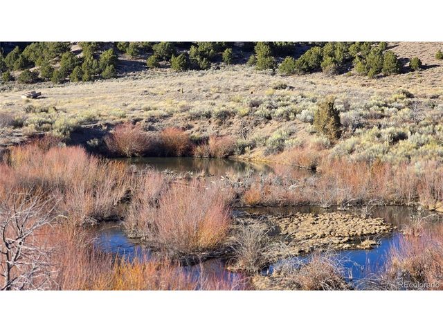 7542 Indian Creek Rd, Fort Garland, CO 81133