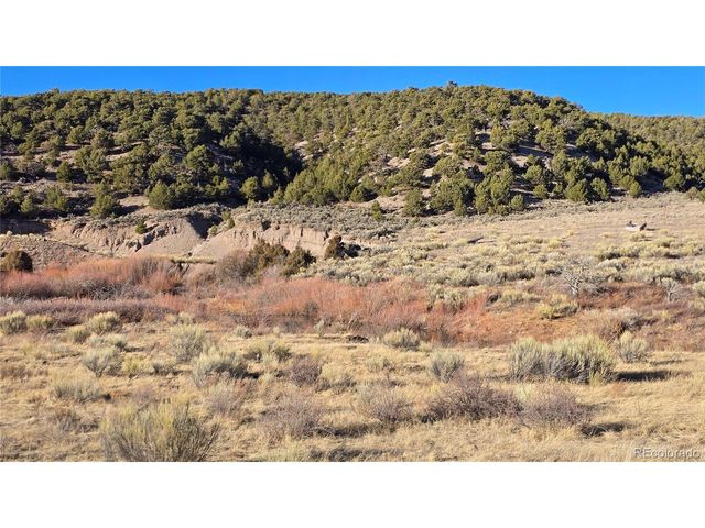 7542 Indian Creek Rd, Fort Garland, CO 81133