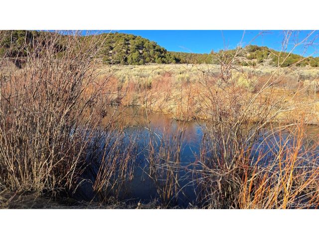 7542 Indian Creek Rd, Fort Garland, CO 81133
