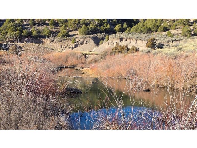 7542 Indian Creek Rd, Fort Garland, CO 81133