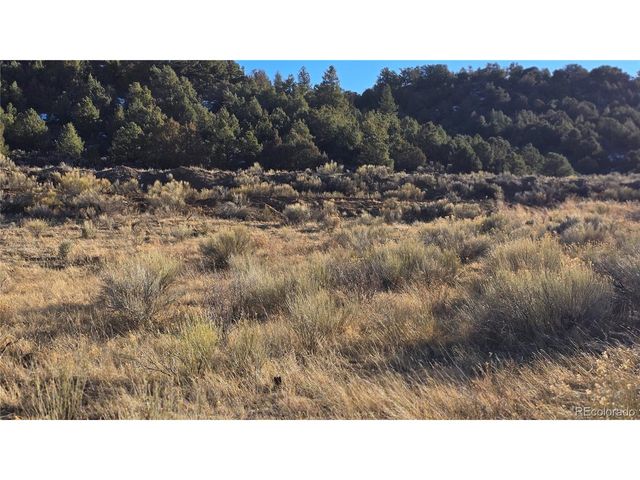 7542 Indian Creek Rd, Fort Garland, CO 81133