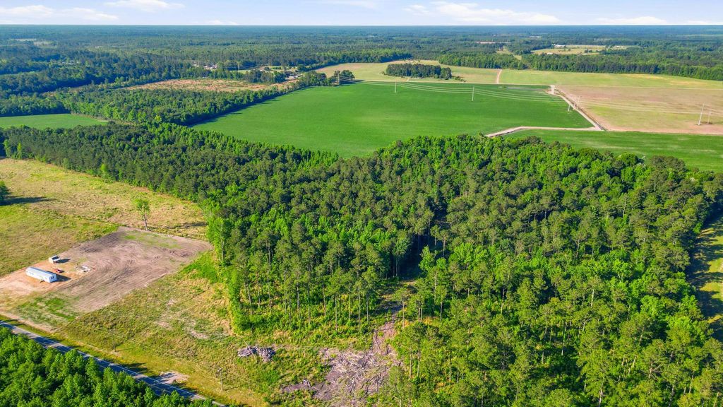TBD Sawyer Rd., Marion, SC 29571 — photo 4