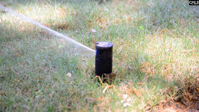 318 Ryegrass Way, Columbia, SC 29212