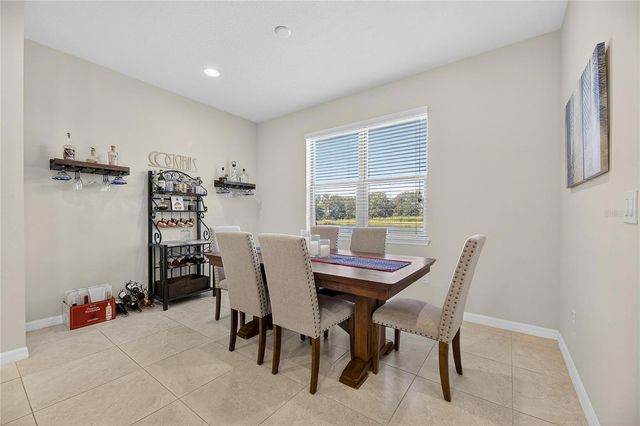 6418 YELLOW BUCKEYE DRIVE, Riverview, FL 33578