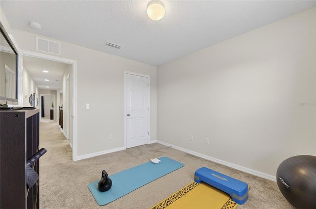 6418 YELLOW BUCKEYE DRIVE, Riverview, FL 33578