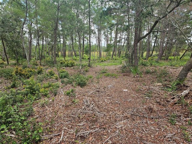 39600 ROYAL TRAILS ROAD, Eustis, FL 32736