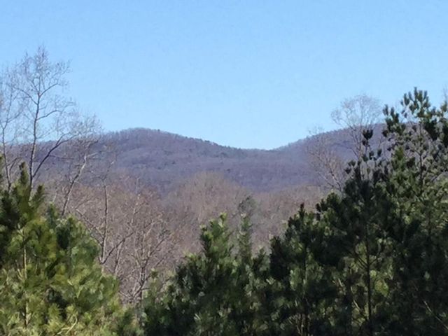 716 Old Pleasant Valley, Talking Rock, GA 30175