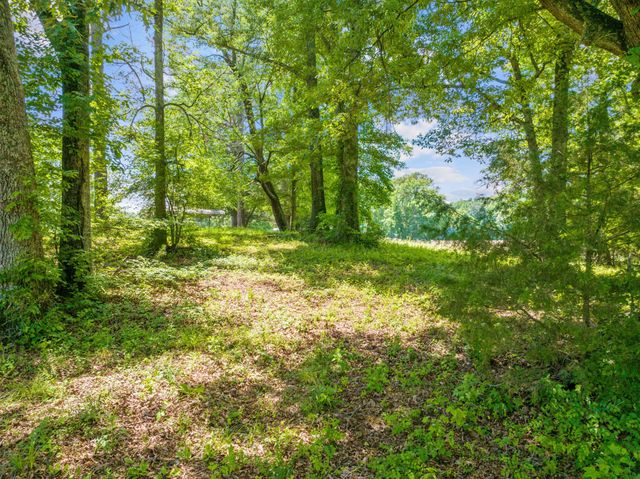 4519 Highway 100, E, Decaturville, TN 38329