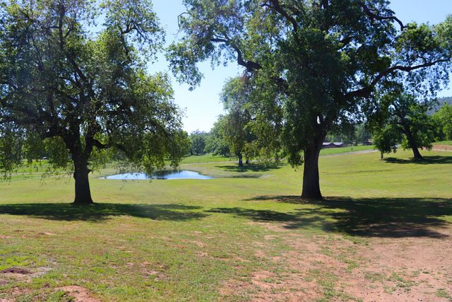 4780 Morningstar Lane, Mariposa, CA 95338