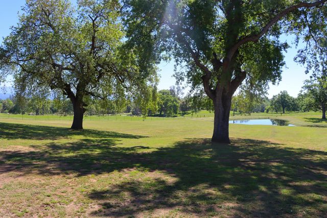 4780 Morningstar Lane, Mariposa, CA 95338