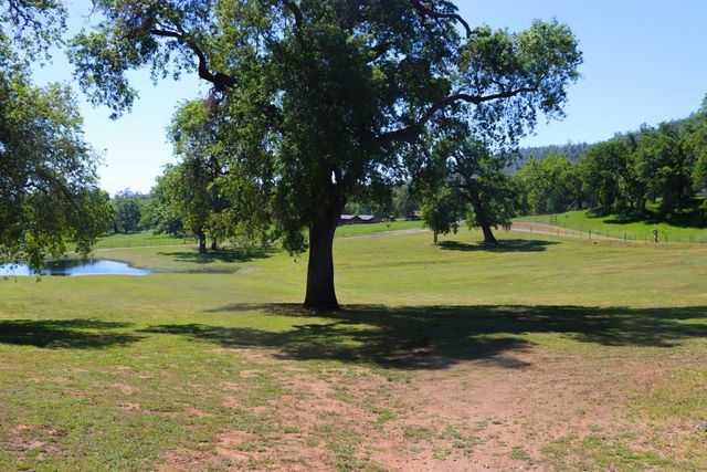 4780 Morningstar Lane, Mariposa, CA 95338