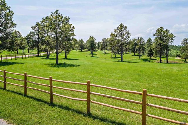 14433 EDGEWOOD PLACE, Piedmont, SD 57769