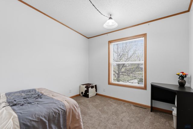 14433 EDGEWOOD PLACE, Piedmont, SD 57769