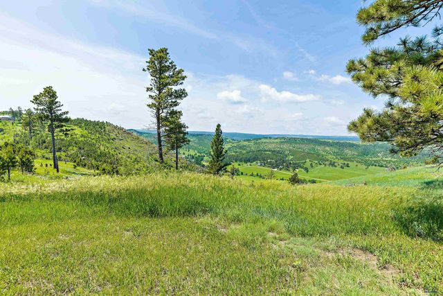 14433 EDGEWOOD PLACE, Piedmont, SD 57769