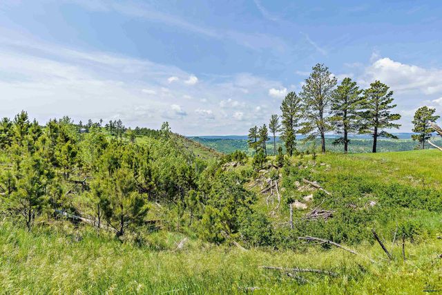 14433 EDGEWOOD PLACE, Piedmont, SD 57769