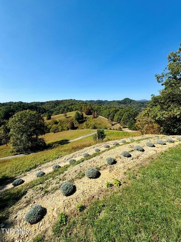 Tbd Shelleys Road, Bristol, VA 24202