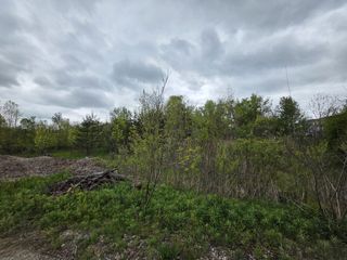 10816 Adams Street, Holland, MI 49423