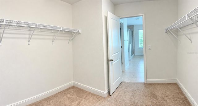 5631 GRAND SONATA AVENUE, Lutz, FL 33558