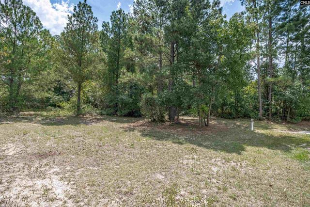 205 Drayden Court, Lexington, SC 29073