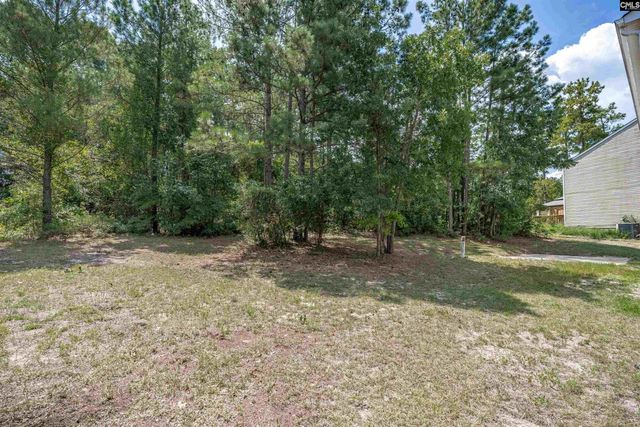 205 Drayden Court, Lexington, SC 29073
