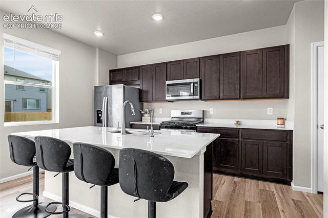 11396 Saugeye Street, Colorado Springs, CO 80925