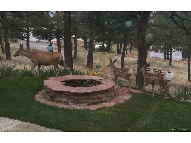 4000 Fawn Trl, Loveland, CO 80537