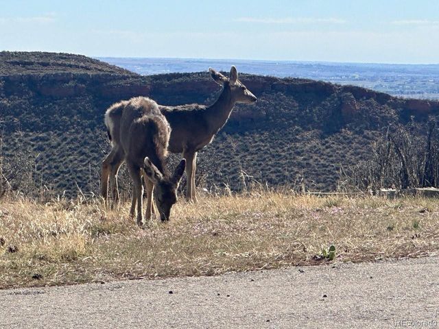 4000 Fawn Trl, Loveland, CO 80537