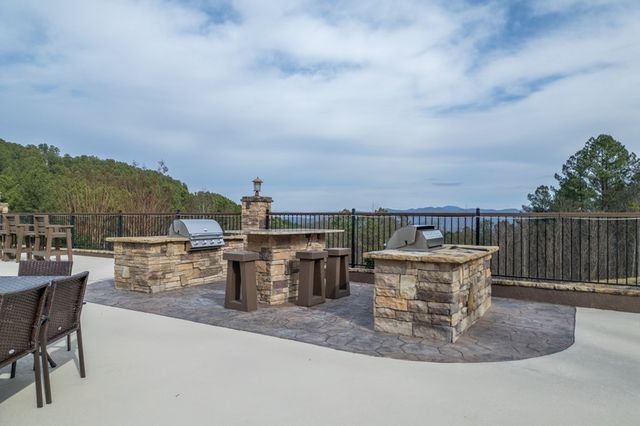 Lot 205 The Cove @ 1300, Blairsville, GA 30512