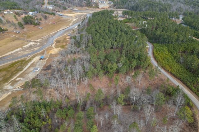 Lot 205 The Cove @ 1300, Blairsville, GA 30512