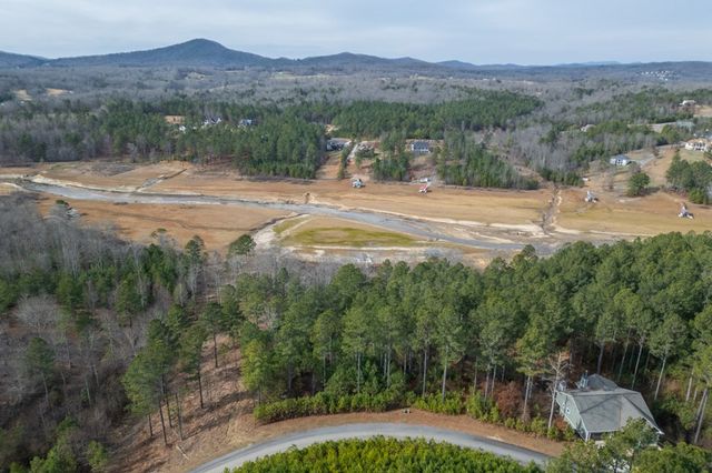 Lot 205 The Cove @ 1300, Blairsville, GA 30512