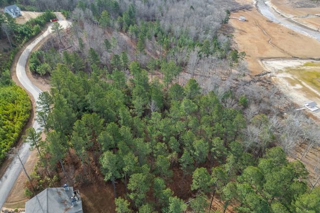 Lot 205 The Cove @ 1300, Blairsville, GA 30512