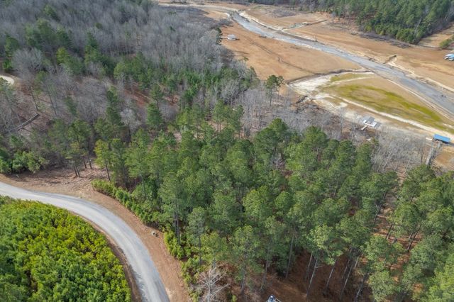 Lot 205 The Cove @ 1300, Blairsville, GA 30512