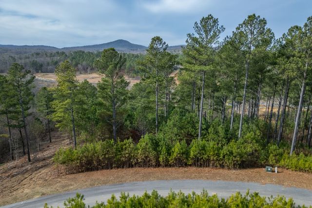 Lot 205 The Cove @ 1300, Blairsville, GA 30512