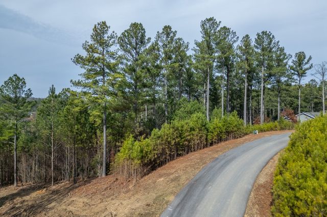 Lot 205 The Cove @ 1300, Blairsville, GA 30512