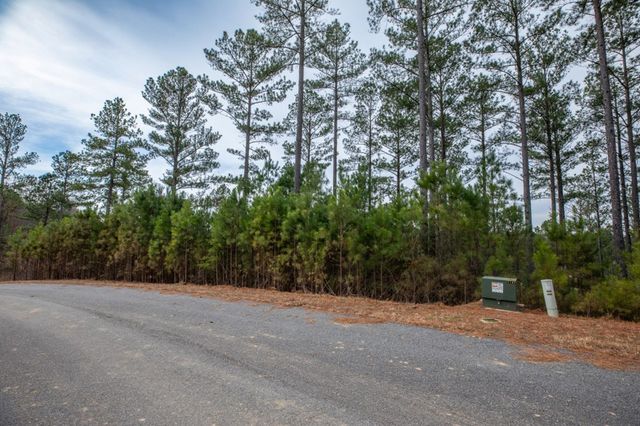 Lot 205 The Cove @ 1300, Blairsville, GA 30512
