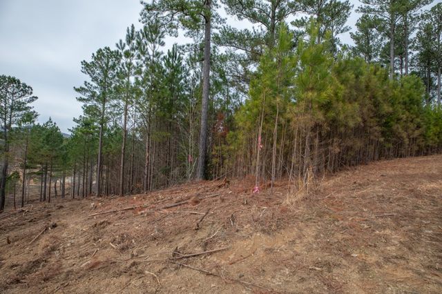 Lot 205 The Cove @ 1300, Blairsville, GA 30512