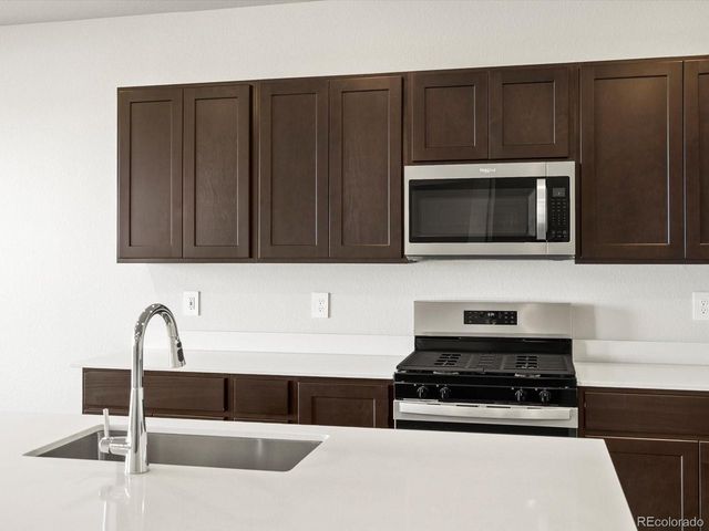 1699 Yampa River Dr, Windsor, CO 80550