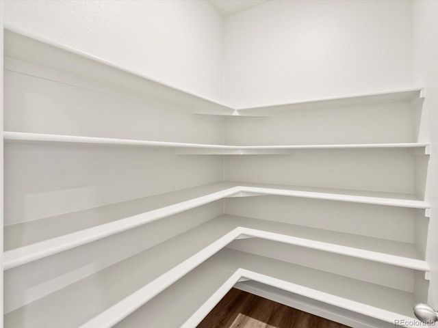 1699 Yampa River Dr, Windsor, CO 80550