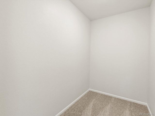 1699 Yampa River Dr, Windsor, CO 80550