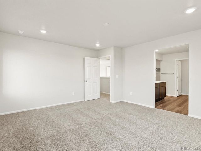 1699 Yampa River Dr, Windsor, CO 80550