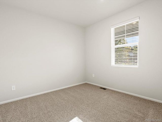 1699 Yampa River Dr, Windsor, CO 80550