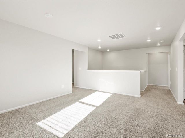 1699 Yampa River Dr, Windsor, CO 80550