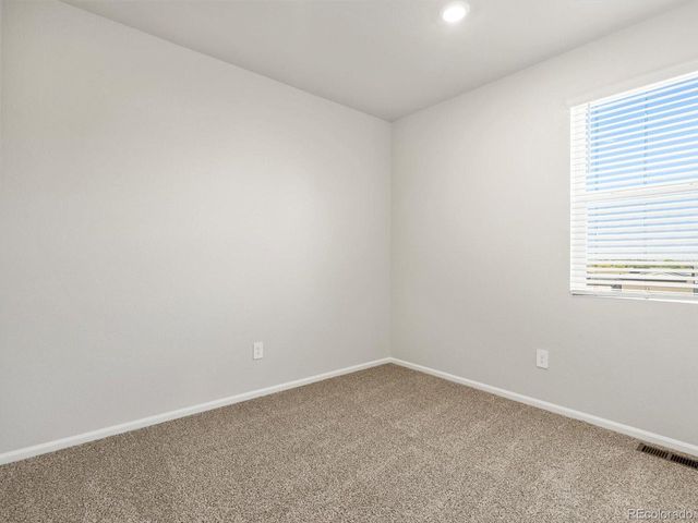 1699 Yampa River Dr, Windsor, CO 80550