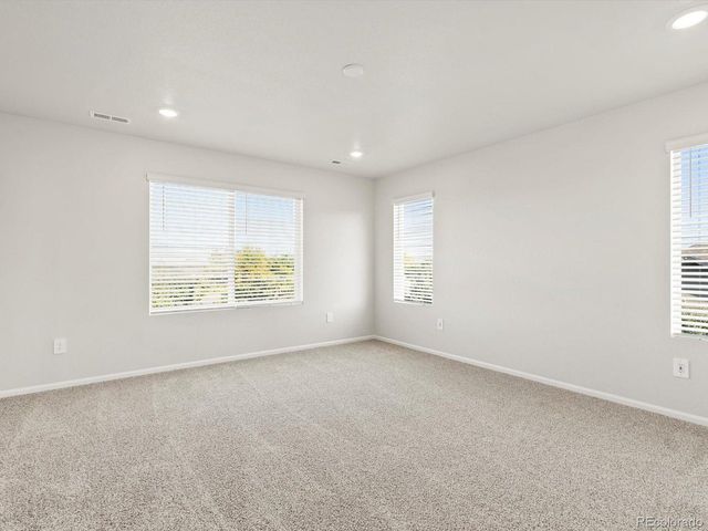 1699 Yampa River Dr, Windsor, CO 80550