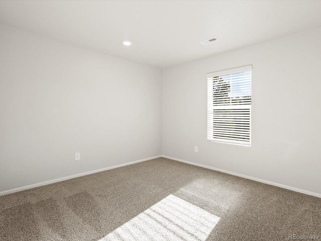 1699 Yampa River Dr, Windsor, CO 80550