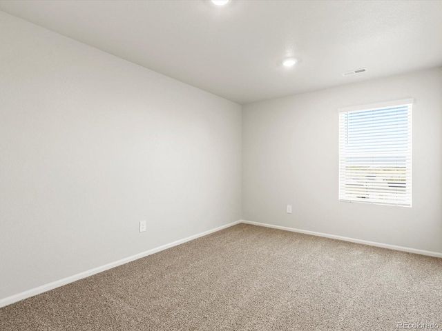 1699 Yampa River Dr, Windsor, CO 80550