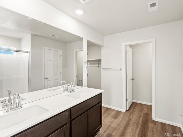 1699 Yampa River Dr, Windsor, CO 80550